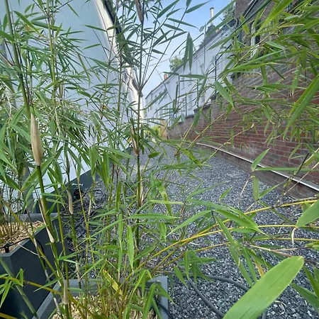 O Gadot * 샤드폰테인